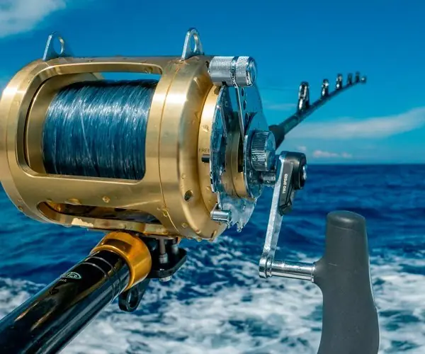 Boat hire for tuna chumming big game fishing